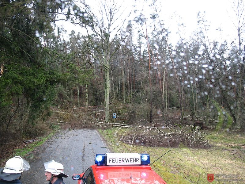 Bild 1 von 15 B&auml;ume am Waldrand sind stehengeblieben - die dahinter nicht