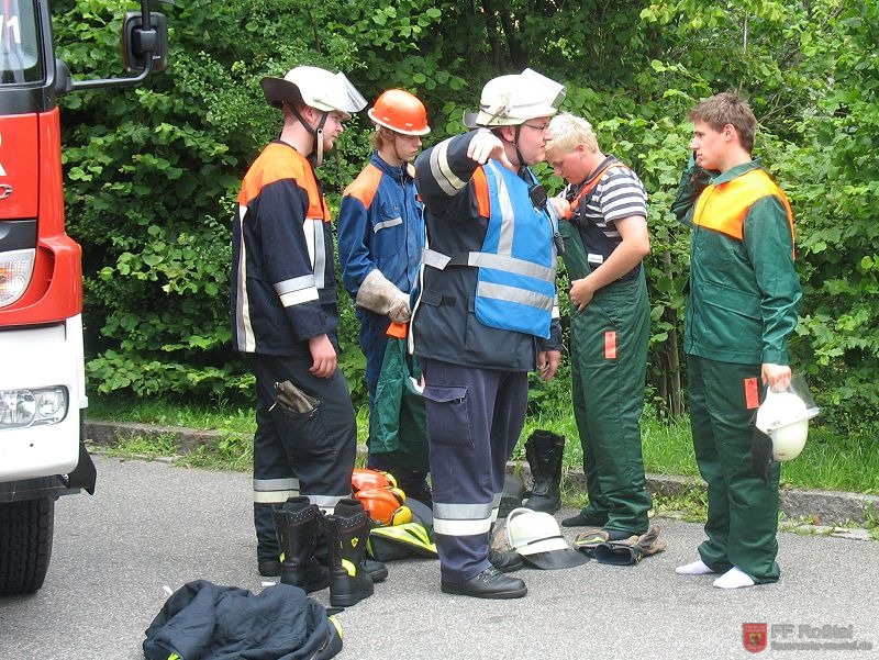 Bild 6 von 22 Vorbereiten zum F&auml;llen eines Baumes.