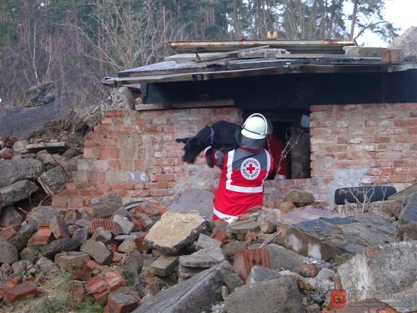 Bild 2 von 25 Ein Hund der Rettungshundestaffel hat bereits eine versch&uuml;ttete Person gefunden.