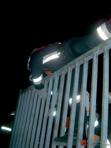 Bild 19 von 23 Statt durchs offene Tor zu gehen m&uuml;ssen sie dr&uuml;berklettern.