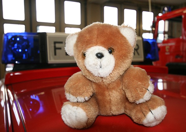 Bild des/der Ausr�stungsgegenstands/-gegenst�nde (Stofftier)